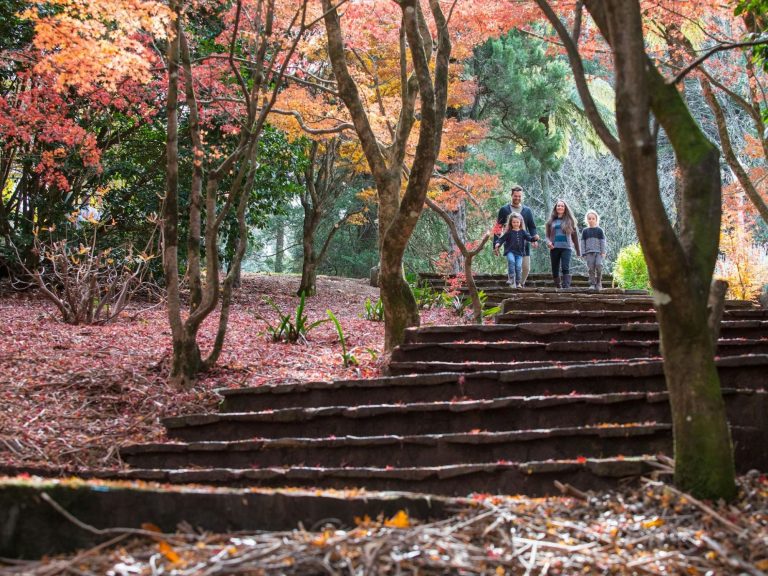 acenetworksllc|Visit Mount Wilson & Mount Irvine: Exploring the beauty of Mount Wilson and Mount Irvine.