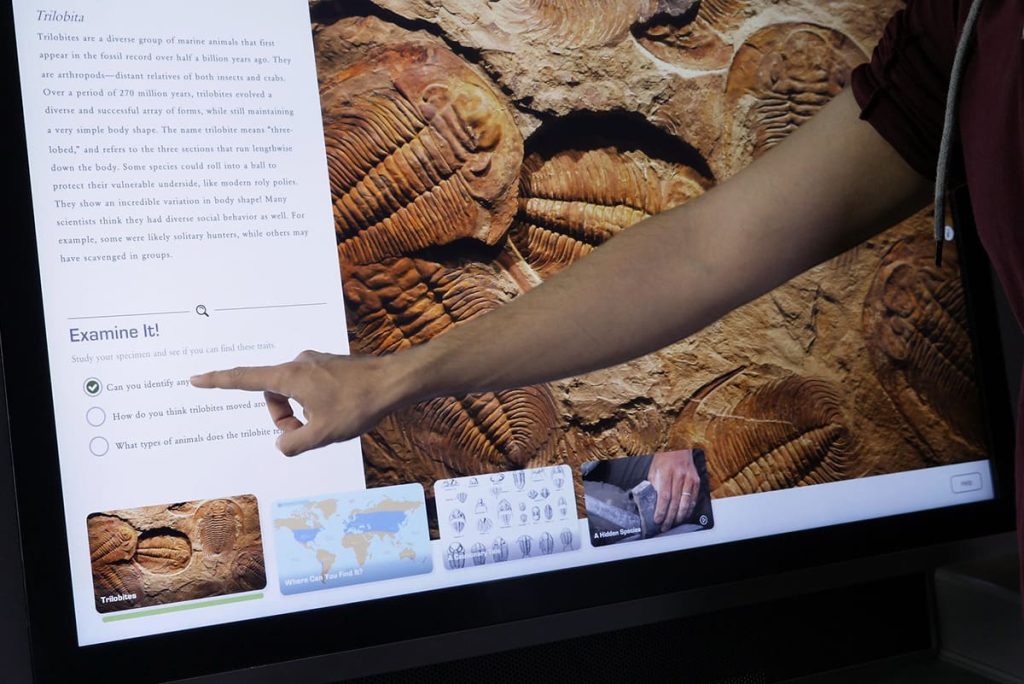 acenetworksllc | Interactive Flora and Fauna Displays: Learning about nature with interactive flora and fauna displays.