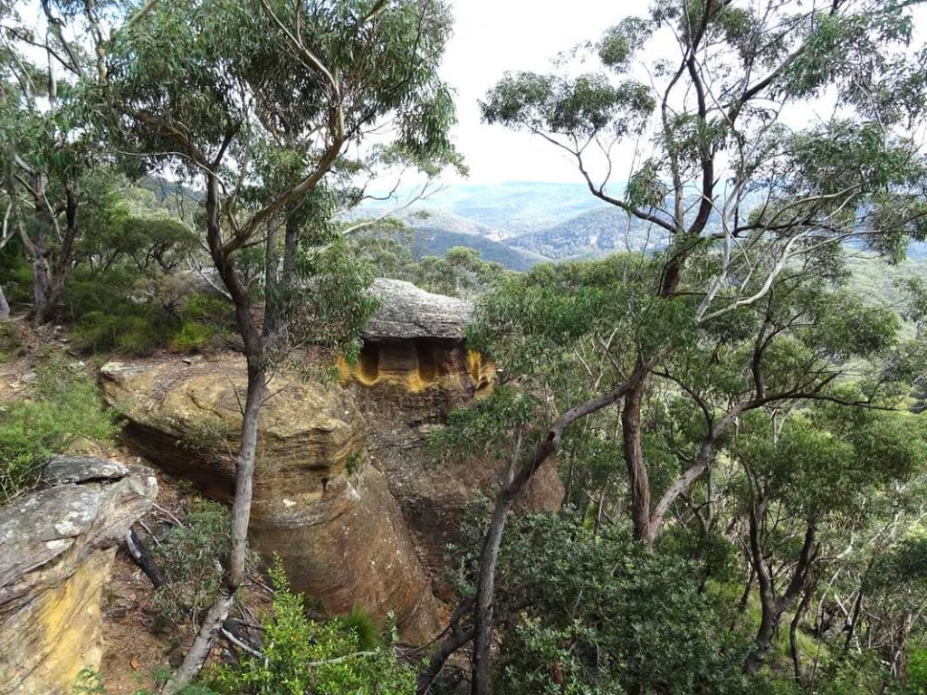acenetworksllc | Visit Mount Wilson & Mount Irvine: Exploring the beauty of Mount Wilson and Mount Irvine.