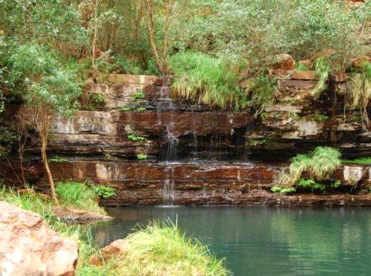 acenetworksllc | Exploring Yardie Creek: Wildlife and Scenery