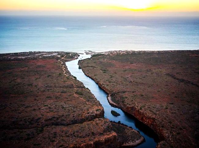 acenetworksllc | Exploring Yardie Creek: Wildlife and Scenery