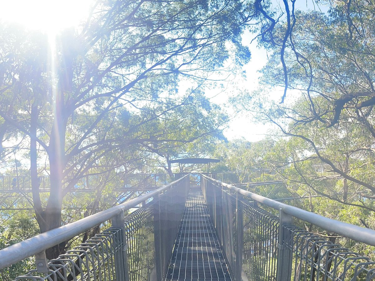 acenetworksllc | Exploring Yardie Creek: Wildlife and Scenery