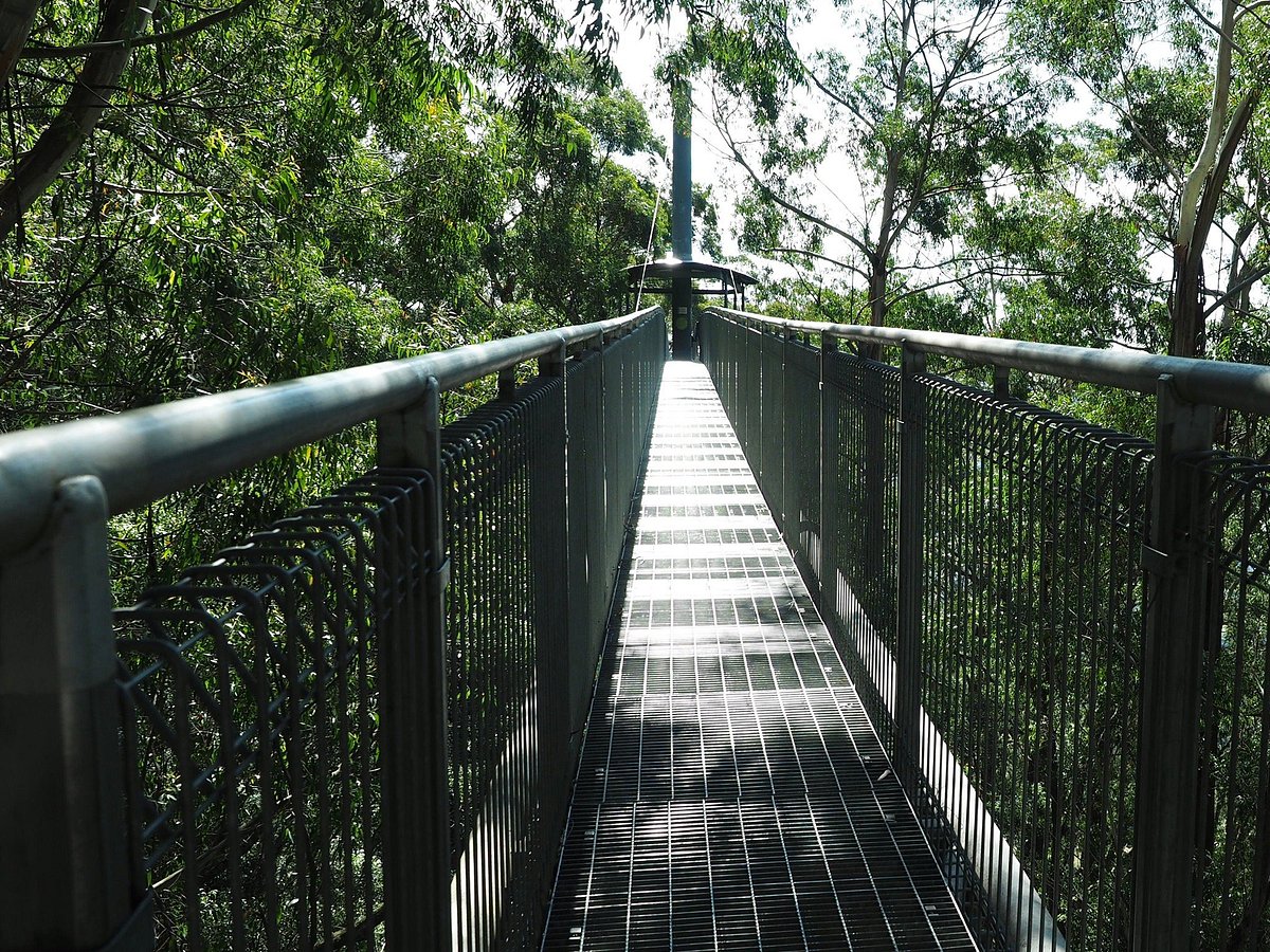 acenetworksllc | Exploring Yardie Creek: Wildlife and Scenery