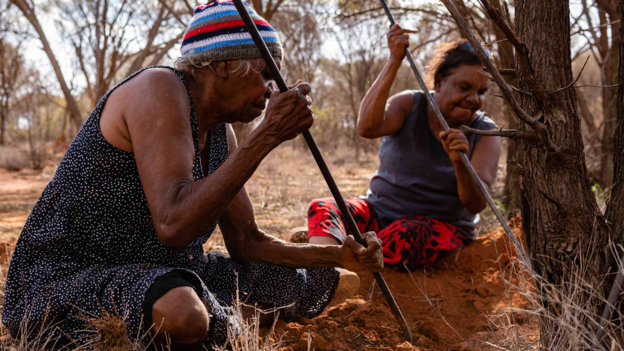 acenetworksllc | Indigenous Heritage Tours: Discovering history with indigenous heritage tours.