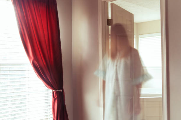 acenetworksllc | Guided Ghost Tours: Thrilling guided ghost tours.