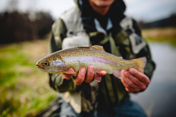 acenetworksllc | Fishing at Learmonth Jetty: Tips and Tricks