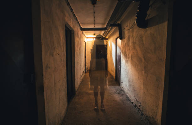 acenetworksllc | Guided Ghost Tours: Thrilling guided ghost tours.