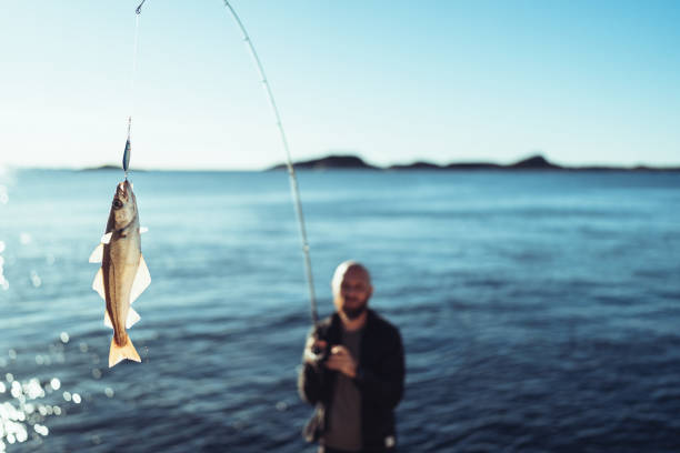 acenetworksllc | Fishing at Learmonth Jetty: Tips and Tricks