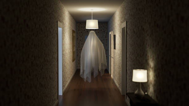 acenetworksllc | Guided Ghost Tours: Thrilling guided ghost tours.