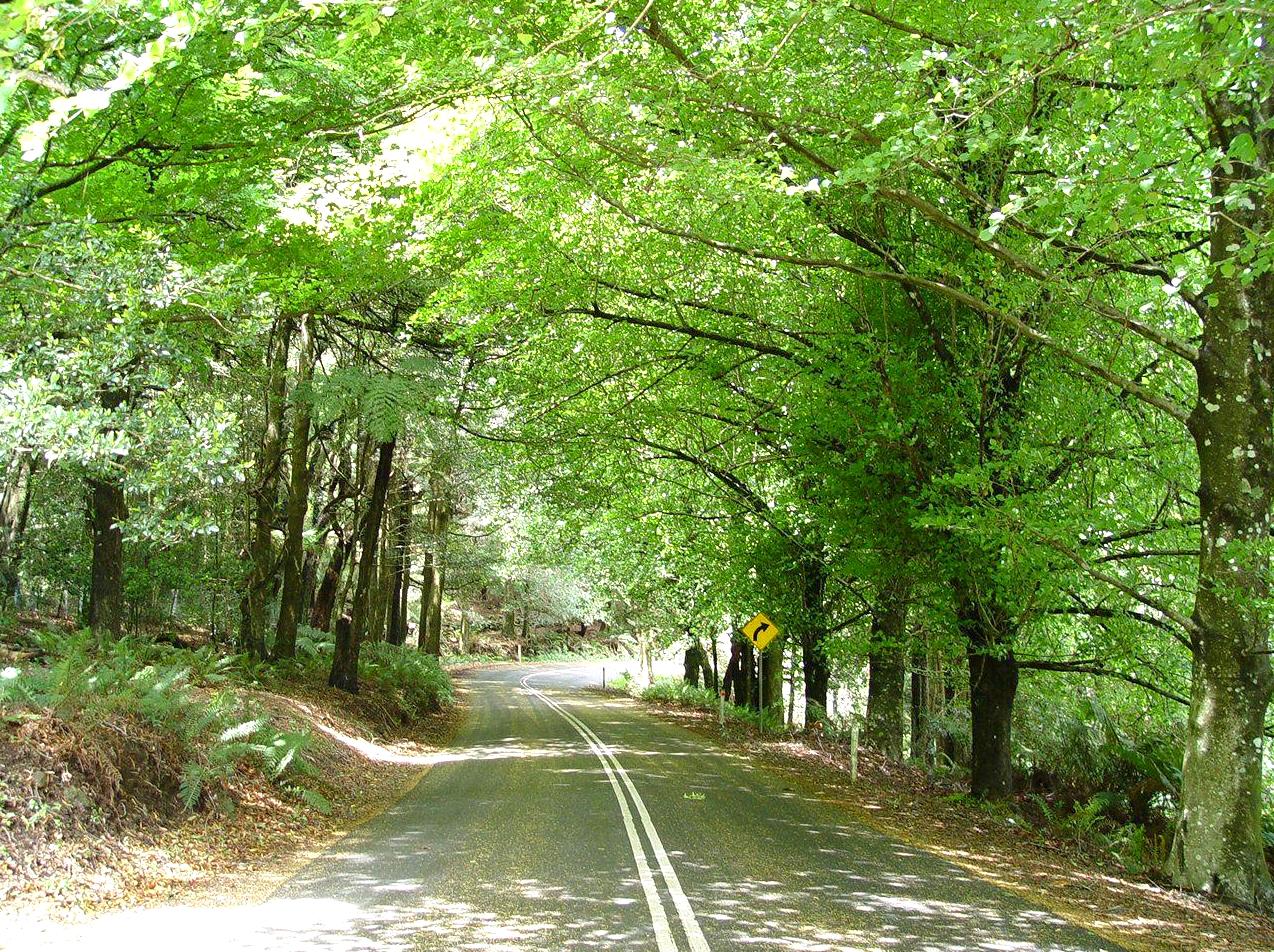 acenetworksllc | Visit Mount Wilson & Mount Irvine: Exploring the beauty of Mount Wilson and Mount Irvine.