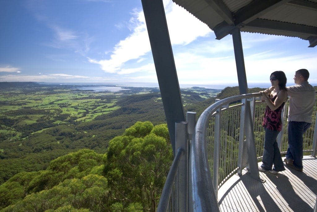 acenetworksllc | Treetop Walk at Illawarra Fly: An adventure on the Treetop Walk at Illawarra Fly.