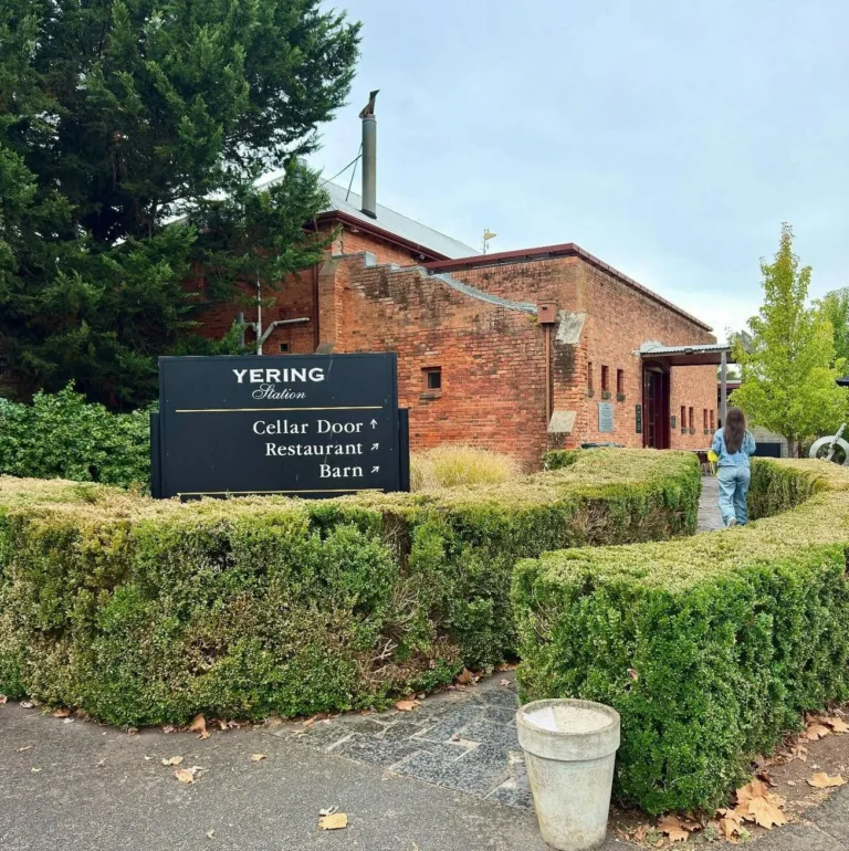acenetworksllc|Oldest Yarra Valley Winery Tour