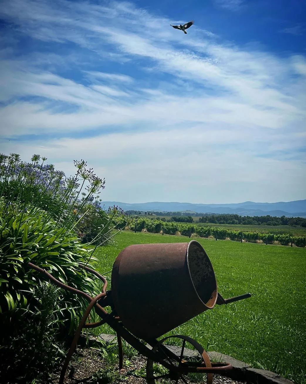 acenetworksllc | Oldest Yarra Valley Winery Tour