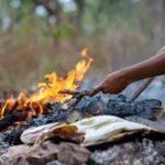 acenetworksllc|Can You Have Campfires in Kakadu?