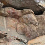 acenetworksllc|Why Is Kakadu’s Rock Art Important?